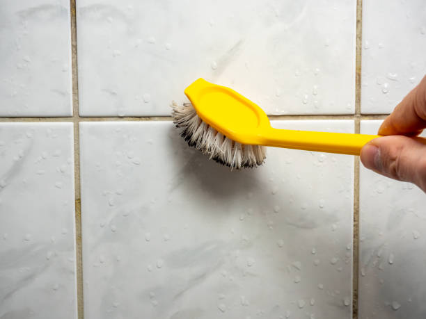 Best Emergency Mold Removal  in Lake City, IA