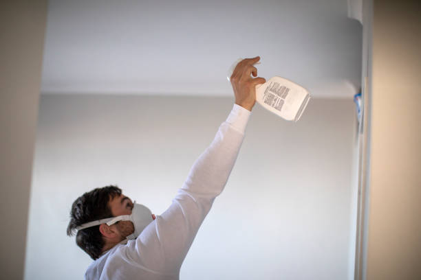 Best Residential Mold Removal  in Lake City, IA